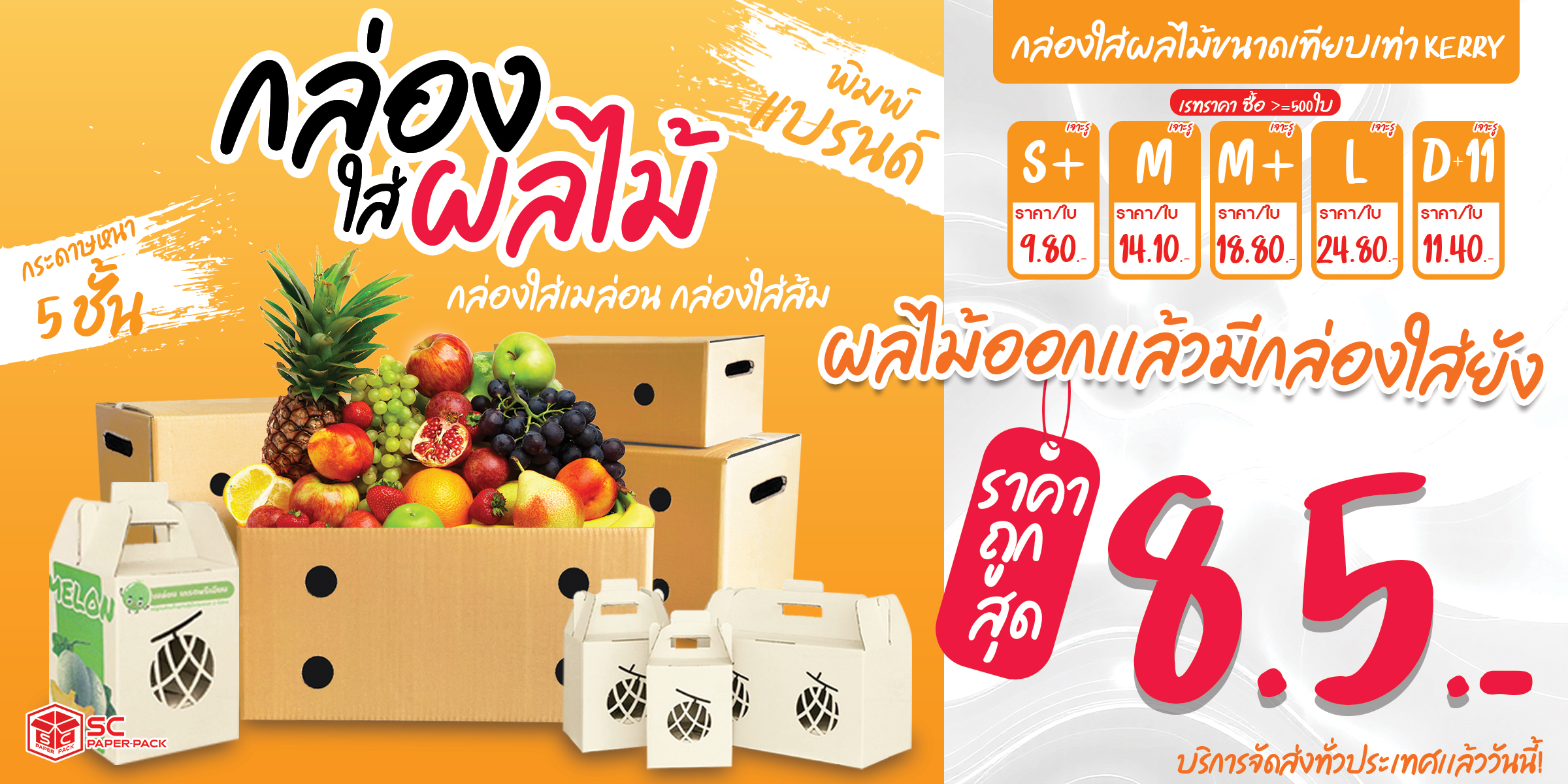 ยกระดับส่งออกผลไม้ไทย! ชาวสวนเมล่อนโคราชผุดไอเดียแพ็กเกจจิ้งเจาะตลาดพรีเมียม