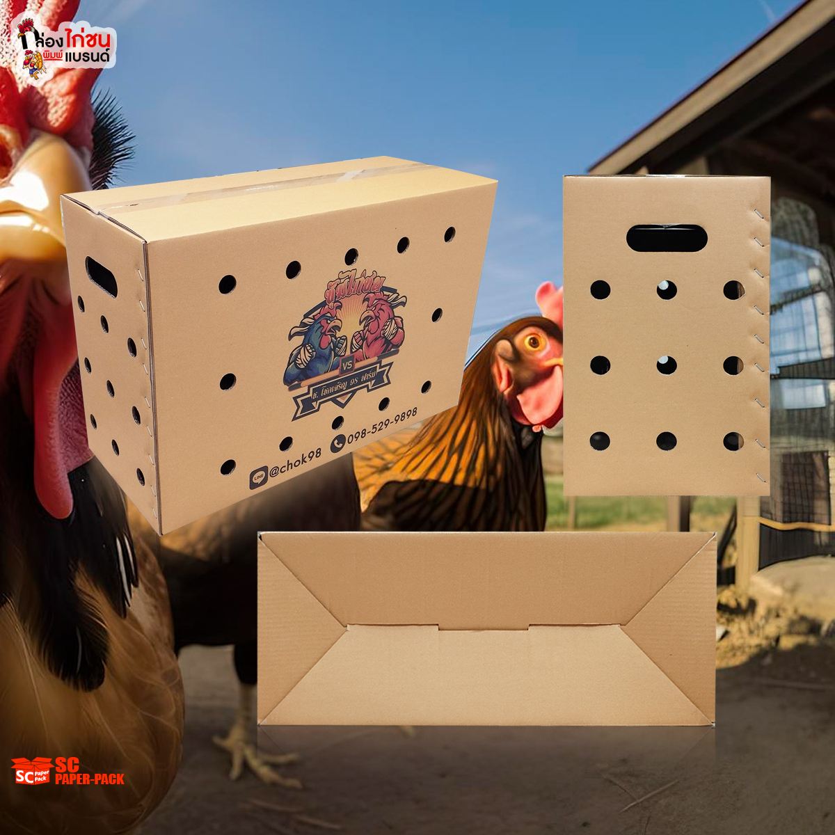 วงการไก่ชนคึกคัก! กล่องใส่ไก่ดีไซน์ใหม่มาแรง ตอบโจทย์ทั้งความคุ้มค่าและความสวยงาม